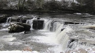 Yorkshire Dales Country Walk  West Burton to Aysgarth Falls round [upl. by Ahseetal742]