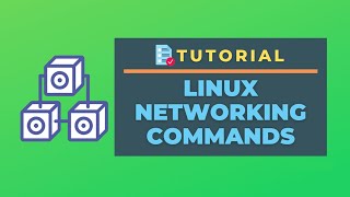 Linux Networking Commands for System Administrators [upl. by Enibas]