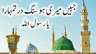 Jabeen Meri Ho Sange Dar Tumhara Ya Rasool Allah  Heart Touching Naat  Lyrics Naat msami076naat [upl. by Noivax]