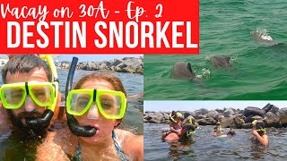 Snorkeling with Five Kids  DESTIN SNORKEL  DOLPHIN TOUR [upl. by Buzz133]