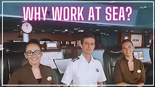 15 Surprising Benefits of Working on a Cruise Ship [upl. by Esilram]