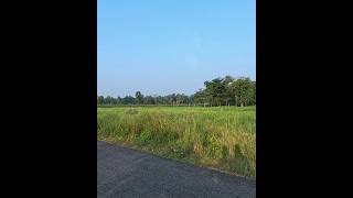 Village Roads and Farming Lands telangana villagelife village india road country [upl. by Thenna]