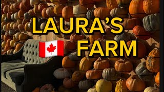 LAURA’S FARM🇨🇦ONTARIOCANADA canadafarm thanskgiving frame ontario rec [upl. by Siaht]