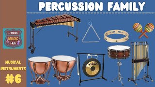 PERCUSSION FAMILY  INSTRUMENTS OF THE ORCHESTRA  LESSON 6  LEARNING MUSIC HUB  ORCHESTRA [upl. by Paulina]