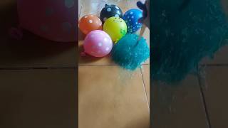 Yellow blue black balloon ASMR youtubeshorts yt [upl. by Fenn191]