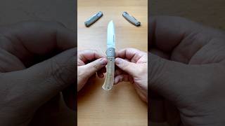 Tuya Tortuga V2 knifeshorts knifereview knifegallery knifecommunity knifeclub [upl. by Tolecnal]