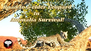 Road to a elder leopard  Animalia Survival [upl. by Sheline]