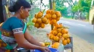 Nungu juice  Nungu sarbath நுங்கு tender palm fruit drink Kanyakumari highway  TRAVANCORE LIFE [upl. by Aicrag]