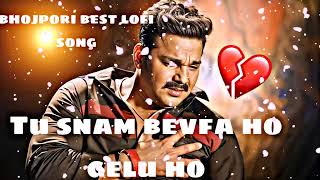 tu snam bewafa ho gailu ho 🎧🥀 pawan singh ke olde is gold lofi song remix Mr Rajan remix lofi [upl. by Elahcar353]