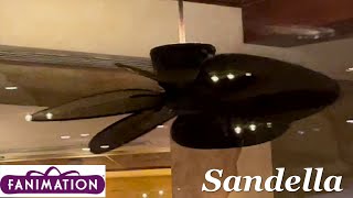 52quot Fanimation Sandella Ceiling Fans 11 12 13 14 15 16  16 [upl. by Aretse]