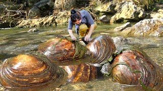 Mutated pearl clams gather in the water as if guarding a huge treasure which is truly rare [upl. by Glorianna]