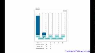 Serial Dilution Overview [upl. by Eneryc]