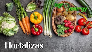 Origen del cultivo de hortalizas y vegetales [upl. by Hgielyak770]