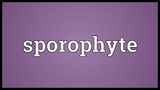 Sporophyte Meaning [upl. by Maryjane]