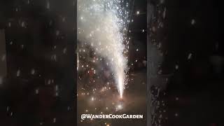 Sparkle amp shine with bomb celebration on Diwali 🪔✨🌆🧨💣WanderCookGarden [upl. by Mihalco649]