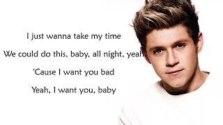 Niall Horan Slow Hands Lyrics [upl. by Birch812]