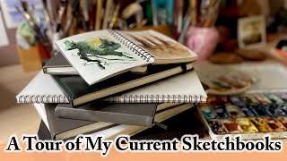 A Tour of All My Current Sketchbooks  How I use Sketchbooks in my Creative Practice  Watercolour [upl. by Ilahtan]