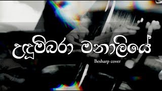 Udumbara Manaliye Cover Song  Besharp Melbourne උදුම්බරා මනාලියේ  දයාරත්න රණතුංග [upl. by Arondel]