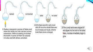 Grade 9 Biology Unit 4 Part 2 [upl. by Lucine]