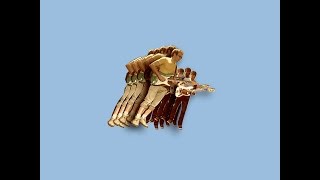 VULFPECK  Fugue State Full Album [upl. by Nemracledairam]