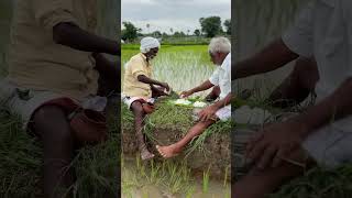 raithubidda automobile agricultu farmequipment agricultute farmmachinery farmer agriculure [upl. by Amsirac]