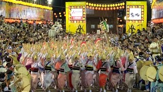 【特別席で見る総踊り】徳島市阿波おどり2016南内町演舞場（初日）【4k】 [upl. by Ally732]