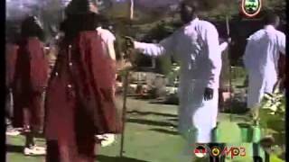 Oromo Music  Traditional Band Arsi [upl. by Ennasil369]