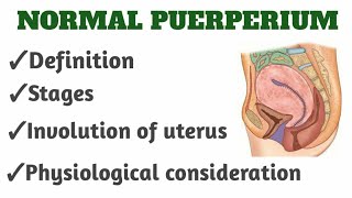 Normal Puerperium 📗OBG notesbsc ampgnm nursingPART 1 [upl. by Ellynad579]