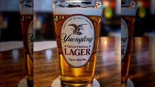 What To Know Before You Take Another Sip Of Yuengling [upl. by Ardnalahs]