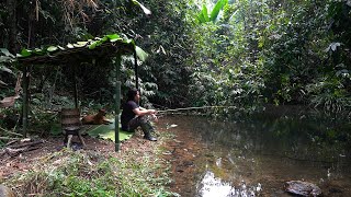 Bamboo Survival Shelter Stream Fishing Catch and Cook Survival Alone  EP242 [upl. by Cull676]