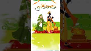 Tulsi vivah 2024  tulsi vivah gujarati status  bhajan krishnabhajan trending shortsfeed [upl. by Leugimesoj769]