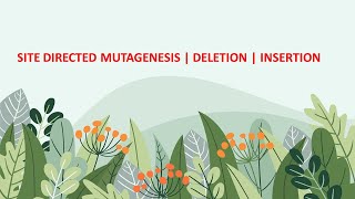 Site Directed Mutagenesis  Insertion  Deletion [upl. by Ecal]