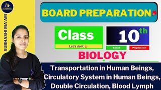 Transportation in Human Beings Circulatory System in Human Beings Double Circulation Blood Lymph [upl. by Reibaj9]