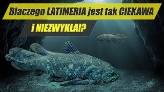 LATIMERIA – skamieniałość która nie wyginęła  najdziwniejsze zwierzęta świata 8 [upl. by Bonnie]