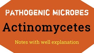 actinomycetes understand with notes bacteria lifecycle diagram [upl. by Ihtak]