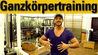 GanzkörperTrainingsplan für Muskelaufbau im Gym [upl. by Nylazor239]