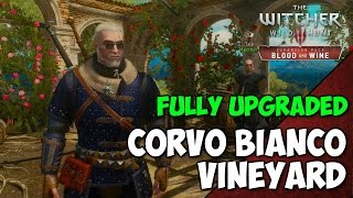 Witcher 3 Blood and Wine  Fully Upgraded CORVO BIANCO Vineyard Tour  Geralts Home [upl. by Teerpnam]