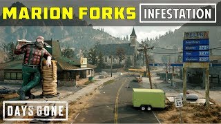 Marion Forks Infestation  Location of All Nests  Days Gone [upl. by Maurili688]