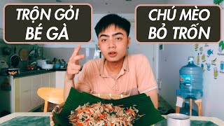 VLOG 10  GÀ XÉ PHAY TRỘN GỎI CHUA CAY KỂ CHUYỆN BẦY MÈO VÔ CHỦ ĐƯỢC ANH CHỊ TỐT BỤNG NHẬN NUÔI [upl. by Eittod]