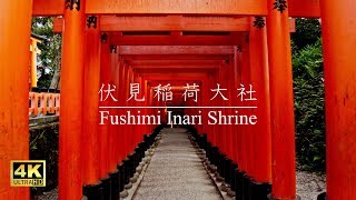 伏見稲荷大社  Fushimi Inari Shrine（Kyoto Japan） [upl. by Schreiber963]