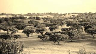 Vozes da Nossa Terra  Alentejo [upl. by Pasadis]