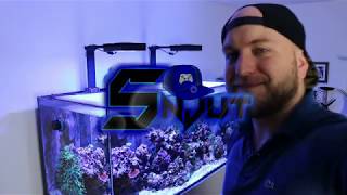 REVIEW  Dosieranlage  DD H2Ocean Pro  Meerwasser Aquarium  Snjut [upl. by Zumstein]