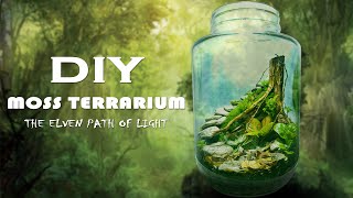 DIY Moss Terrarium  The Elven Path of Light  Terrascaping [upl. by Tedi]