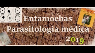 Amebas Parasitología Comensales Y Patógena [upl. by Verras]