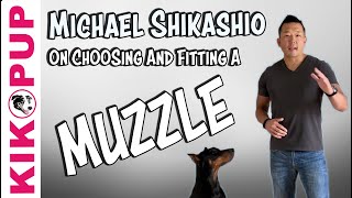 Learn About Fitting a Muzzle from Expert Michael Shikashio [upl. by Farhi682]