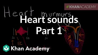 Systolic murmurs diastolic murmurs and extra heart sounds  Part 1  NCLEXRN  Khan Academy [upl. by Ennire]