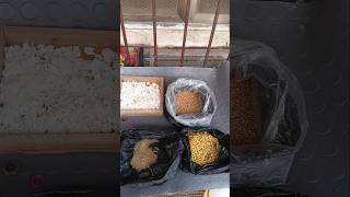 Best Breeding Feed For Pigeon✅💯pigeon feedshorts viralvideo shorts viralvideo bestfood pigeon [upl. by Ariday19]