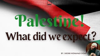 Palestine What did we expect [upl. by Sacrod]