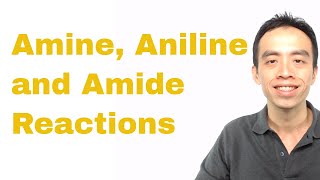 Amine Aniline and Amide Reactions  Organic Chem [upl. by Nillad]