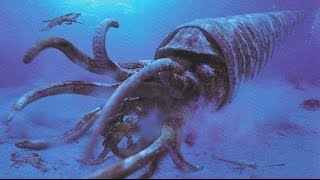 5 Extinct Animals That May Still Roam The Earth [upl. by Nohsal389]